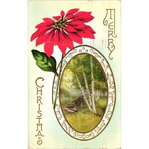 Antique‎ 1913 Christmas Postcard Red Poinsettia and Birch Tree Scene